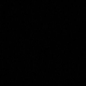 Meet your Posher, Jake